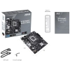 Вид 6